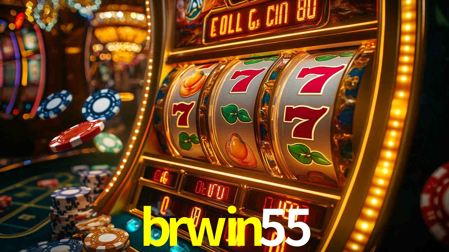 Premium Interface brwin55