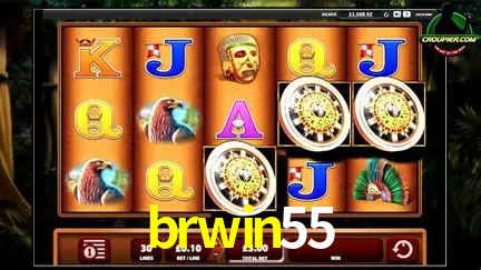 brwin55: A Experiência de Casino com Jogos de Mesa ao Vivo